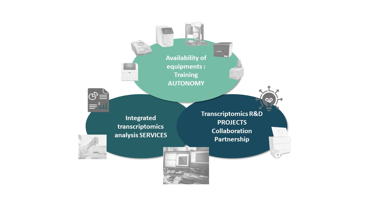 20260219_fonctionnement_EN