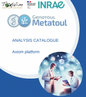 Image plaquette