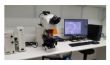 Microscope à fluorescence 90i .jpg